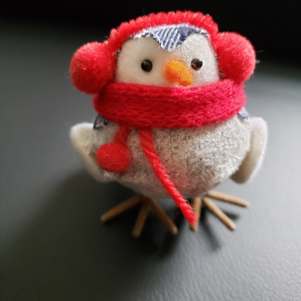 Mini spritz bird winter